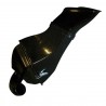 Caja de Aire Carbono  RENAULT Clio R3