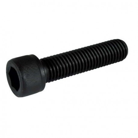 Tornillo BTR (CHC) 12.9 6x100 longitud 20mm