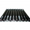 Kit gougeons vilebrequin BMW S14