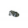 COPAS 206 16S EW10J4 (X16)