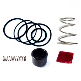 Kit réparation turbo valve FMDVSPLTR