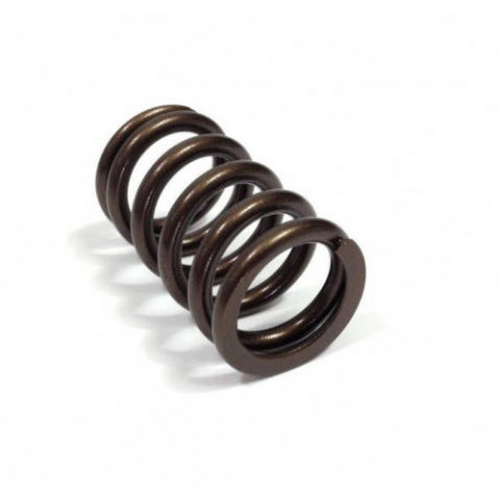 RESSORT SOUPAPE  EXT R5 Turbo (pièce)