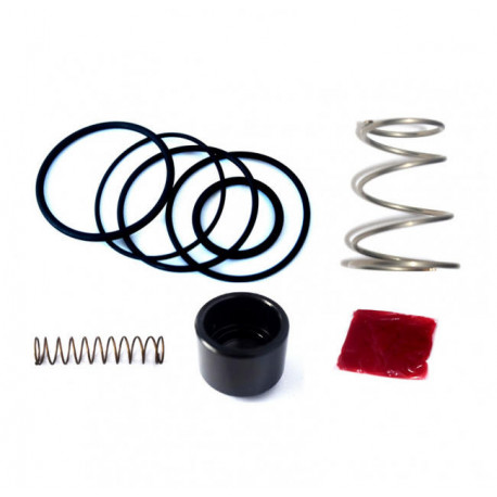 Kit de reparación Turbo Vàlvula FMDV001 Forge