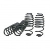 Kit Muelle Suspensión Eibach Peugeot 205 GTI / 106 XSI / Rally