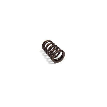 RESSORT SOUPAPE  INT R5 Turbo (pièce)