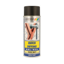 Peinture aérosol RAL 9005...