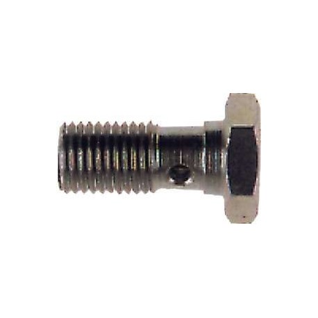 Tornillo Banjo Goodridge M10X100