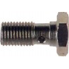 Tornillo Banjo Goodridge M10X100