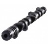 Arbol de Levas CAT CAMS BMW 320 / 325 / 520I 286°/284°